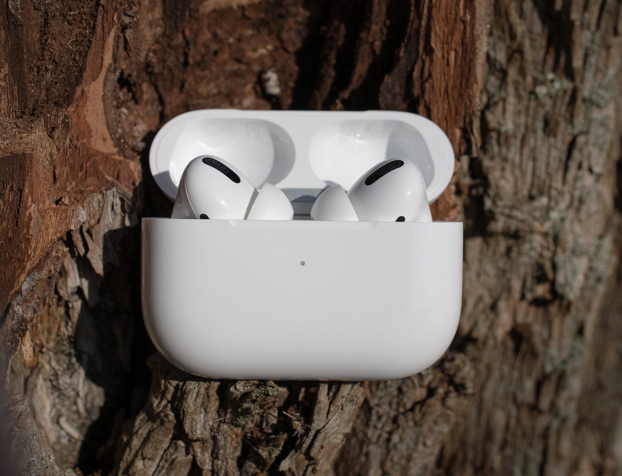 airpods, headphones, technology